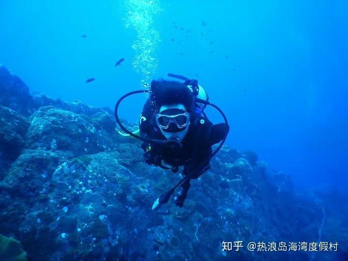 还君一梦之穿越